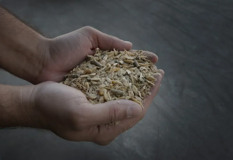 Ingredientes selecionados para fabricação de ração